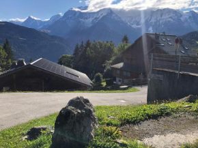 Appartement dans chalet
